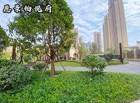 社區(qū)配套